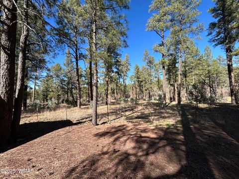 Tiny photo for 2842 Gold Dust Trail, Show Low, AZ 85901 (MLS # 258660)