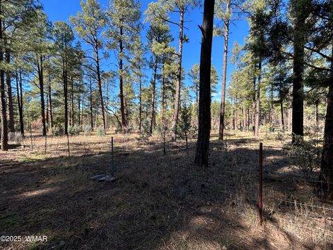 Tiny photo for 2842 Gold Dust Trail, Show Low, AZ 85901 (MLS # 258660)