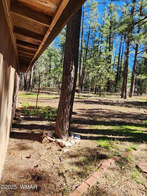 Tiny photo for 2842 Gold Dust Trail, Show Low, AZ 85901 (MLS # 258660)