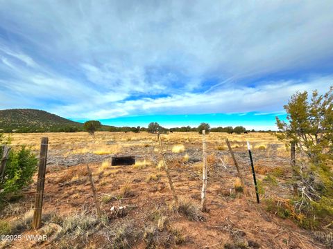 Tiny photo for 32 & 34 Co Rd N8172, Concho, AZ 85924 (MLS # 258657)