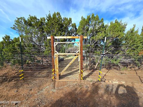 Tiny photo for 32 & 34 Co Rd N8172, Concho, AZ 85924 (MLS # 258657)
