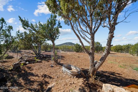 Tiny photo for 32 & 34 Co Rd N8172, Concho, AZ 85924 (MLS # 258657)