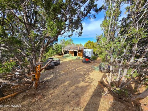Tiny photo for 32 & 34 Co Rd N8172, Concho, AZ 85924 (MLS # 258657)