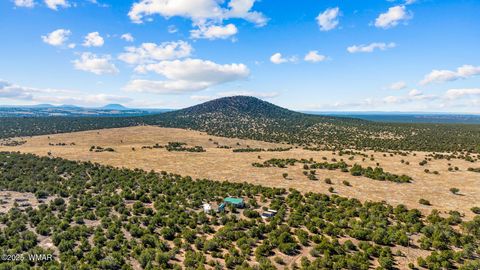 Tiny photo for 32 & 34 Co Rd N8172, Concho, AZ 85924 (MLS # 258657)