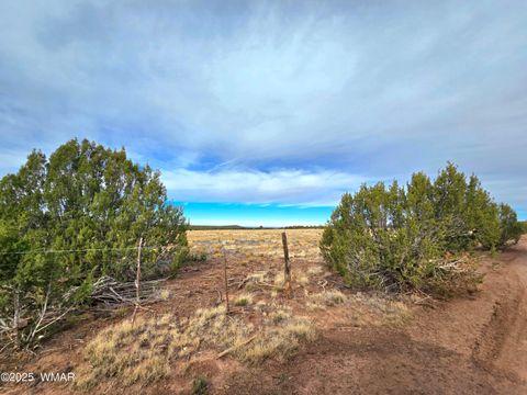 Tiny photo for 32 & 34 Co Rd N8172, Concho, AZ 85924 (MLS # 258657)