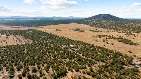 Tiny photo for 32 & 34 Co Rd N8172, Concho, AZ 85924 (MLS # 258657)
