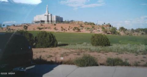 Photo of 485 S Pioneer Trail, Snowflake, AZ 85937 (MLS # 259404)