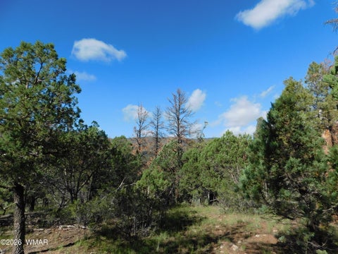 Tiny photo for 18 N2279, Nutrioso, AZ 85932 (MLS # 263035)