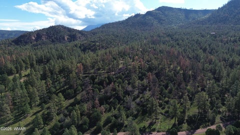 Photo of 18 N2279, Nutrioso, AZ 85932 (MLS # 263035)
