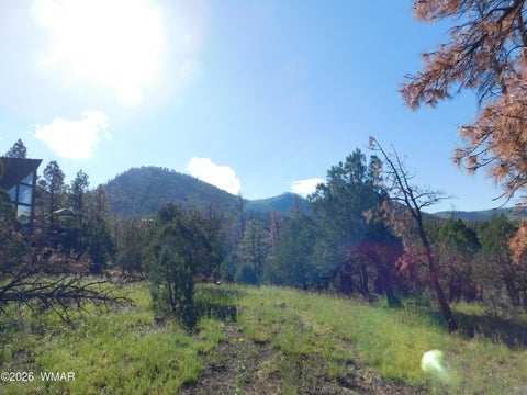 Tiny photo for 18 N2279, Nutrioso, AZ 85932 (MLS # 263035)