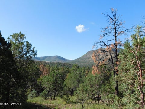 Tiny photo for 18 N2279, Nutrioso, AZ 85932 (MLS # 263035)