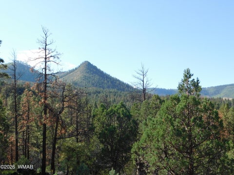 Tiny photo for 18 N2279, Nutrioso, AZ 85932 (MLS # 263035)