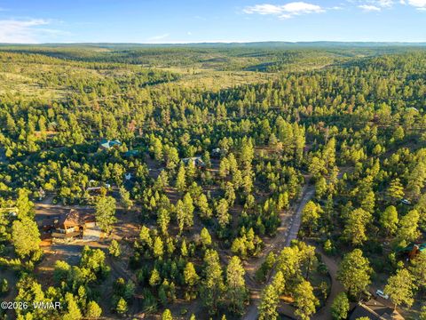 Tiny photo for 1843 Artists Draw Road, Heber, AZ 85928 (MLS # 261089)