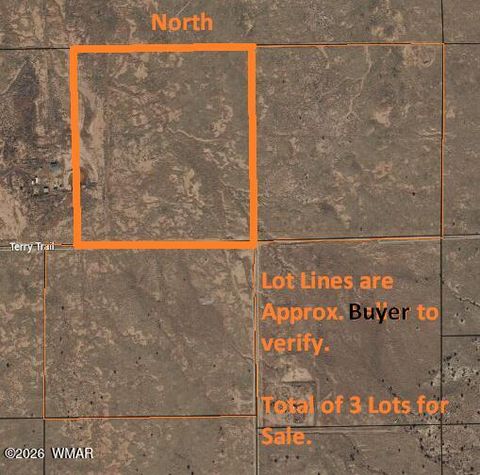 Tiny photo for 8358 Terry Trail, Snowflake, AZ 85937 (MLS # 259130)