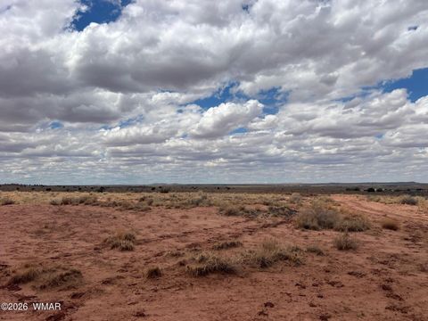 Tiny photo for 8358 Terry Trail, Snowflake, AZ 85937 (MLS # 259130)