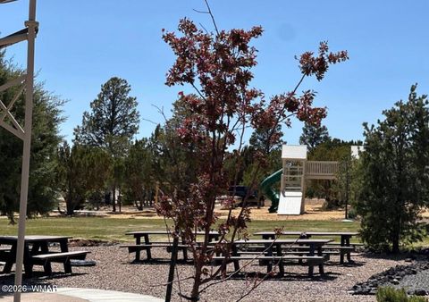 Tiny photo for 2746 Columbia Lane, Heber, AZ 85928 (MLS # 260946)