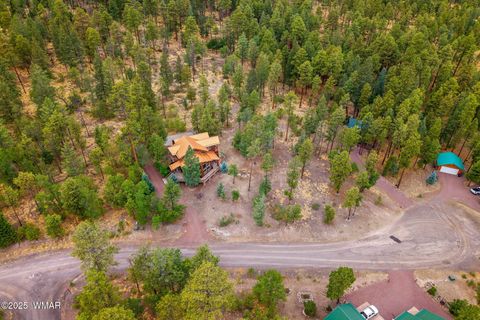Tiny photo for 17 County Road 2195, Alpine, AZ 85920 (MLS # 256904)