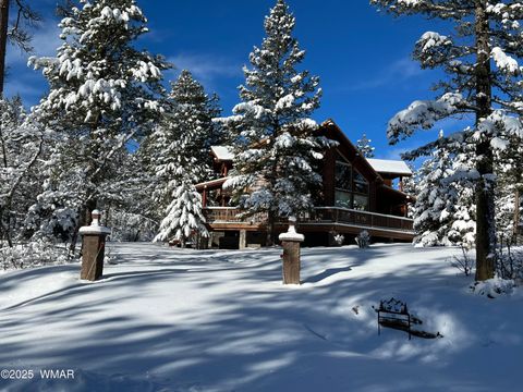 Tiny photo for 17 County Road 2195, Alpine, AZ 85920 (MLS # 256904)