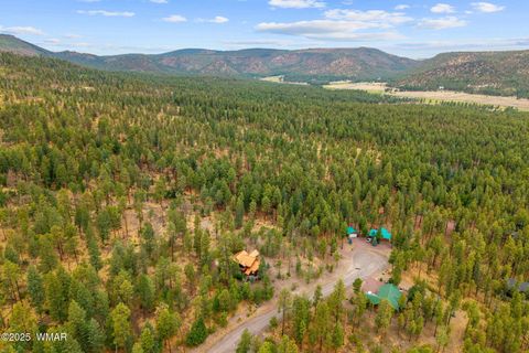 Tiny photo for 17 County Road 2195, Alpine, AZ 85920 (MLS # 256904)