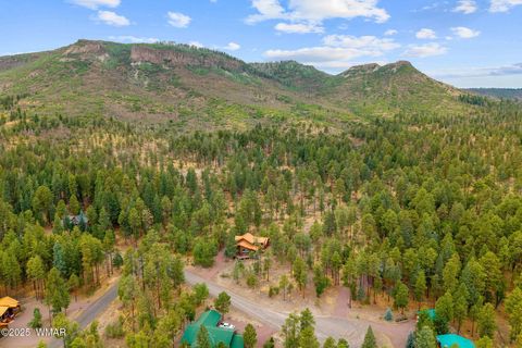 Tiny photo for 17 County Road 2195, Alpine, AZ 85920 (MLS # 256904)