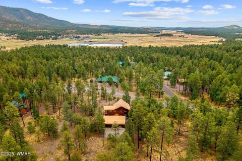 Tiny photo for 17 County Road 2195, Alpine, AZ 85920 (MLS # 256904)