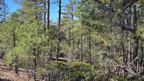 Tiny photo for 440 E Stoneridge Circle, Show Low, AZ 85901 (MLS # 258458)