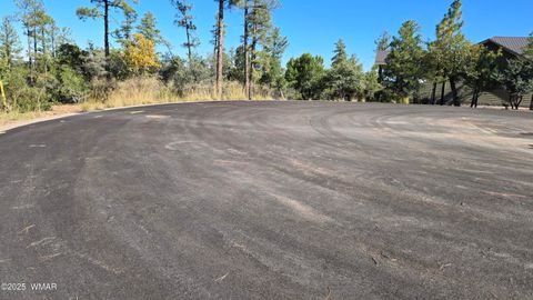 Tiny photo for 440 E Stoneridge Circle, Show Low, AZ 85901 (MLS # 258458)