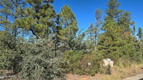 Tiny photo for 440 E Stoneridge Circle, Show Low, AZ 85901 (MLS # 258458)