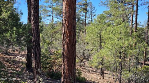 Tiny photo for 440 E Stoneridge Circle, Show Low, AZ 85901 (MLS # 258458)