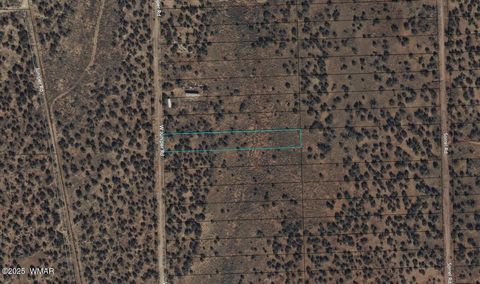 Photo of 4141 W Juniper Road, Snowflake, AZ 85937 (MLS # 258123)