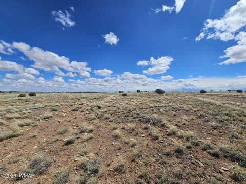 Tiny photo for TBD Chev Canyon Ranch #3 Lot 461, Heber, AZ 85928 (MLS # 260583)