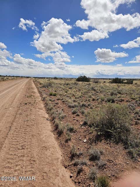 Tiny photo for TBD Chev Canyon Ranch #3 Lot 461, Heber, AZ 85928 (MLS # 260583)