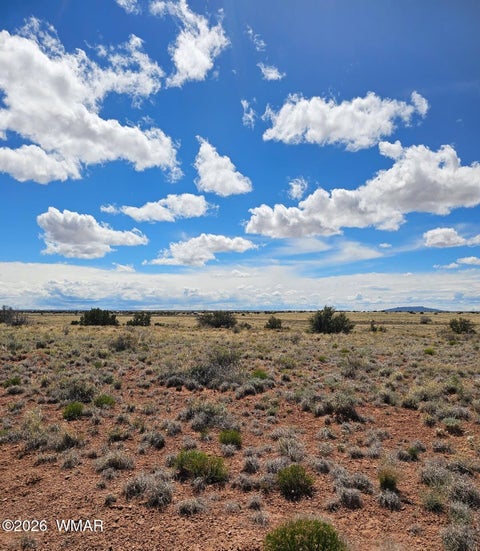 Tiny photo for TBD Chev Canyon Ranch #3 Lot 461, Heber, AZ 85928 (MLS # 260583)