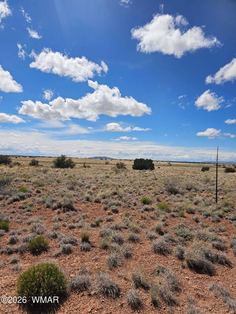 Tiny photo for TBD Chev Canyon Ranch #3 Lot 461, Heber, AZ 85928 (MLS # 260583)