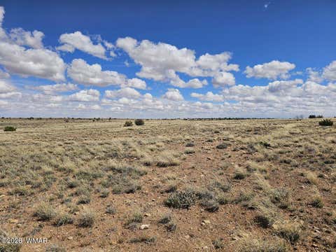 Tiny photo for TBD Chev Canyon Ranch #3 Lot 461, Heber, AZ 85928 (MLS # 260583)