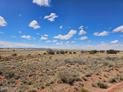 Tiny photo for TBD Chev Canyon Ranch #3 Lot 461, Heber, AZ 85928 (MLS # 260583)