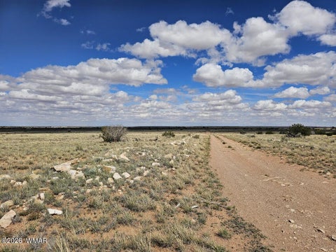Tiny photo for TBD Chev Canyon Ranch #3 Lot 461, Heber, AZ 85928 (MLS # 260583)