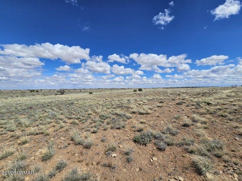 Tiny photo for TBD Chev Canyon Ranch #3 Lot 461, Heber, AZ 85928 (MLS # 260583)