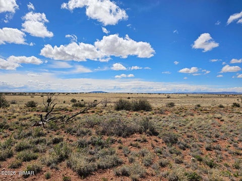 Tiny photo for TBD Chev Canyon Ranch #3 Lot 461, Heber, AZ 85928 (MLS # 260583)