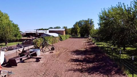 Tiny photo for 6442 W 1St Street, Woodruff, AZ 85942 (MLS # 258221)