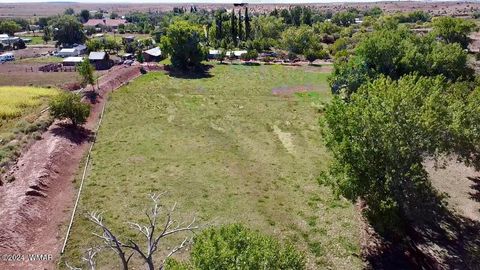 Tiny photo for 6442 W 1St Street, Woodruff, AZ 85942 (MLS # 258221)