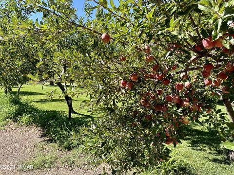 Tiny photo for 6442 W 1St Street, Woodruff, AZ 85942 (MLS # 258221)