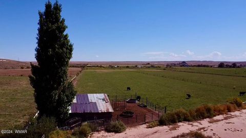 Tiny photo for 6442 W 1St Street, Woodruff, AZ 85942 (MLS # 258221)