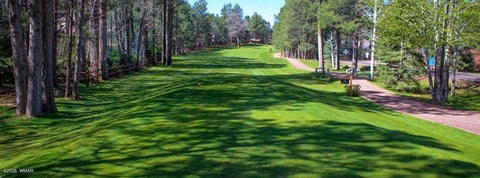 Tiny photo for 3456 Turkey Track Road, Pinetop, AZ 85935 (MLS # 262879)