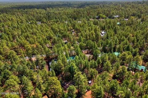 Tiny photo for 3456 Turkey Track Road, Pinetop, AZ 85935 (MLS # 262879)