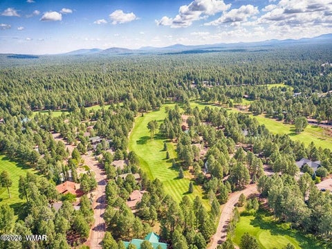 Tiny photo for 3456 Turkey Track Road, Pinetop, AZ 85935 (MLS # 262879)