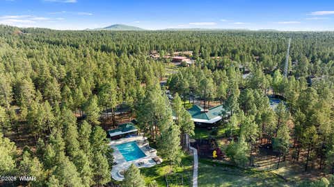Tiny photo for 3456 Turkey Track Road, Pinetop, AZ 85935 (MLS # 262879)