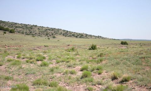 Tiny photo for TBD CR 	212-11-013A, Concho, AZ 85924 (MLS # 258051)