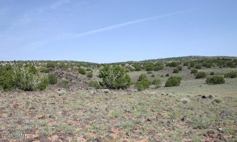 Tiny photo for TBD CR 	212-11-013A, Concho, AZ 85924 (MLS # 258051)