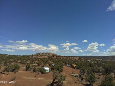 Photo of 3801 Tonto Road, Snowflake, AZ 85937 (MLS # 256758)